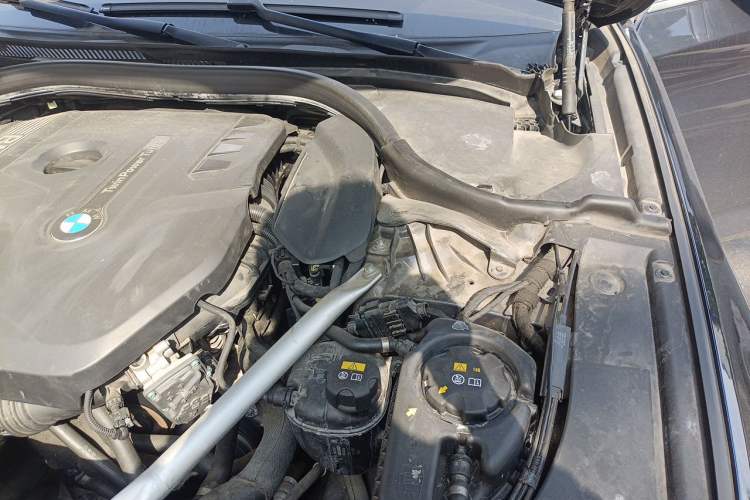 Used BMW 5 Series 2020 530Li Leading Model M Sport Package