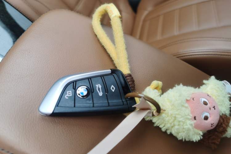 Used BMW X3 2018 xDrive30i Luxury Edition M Sport Package China VI