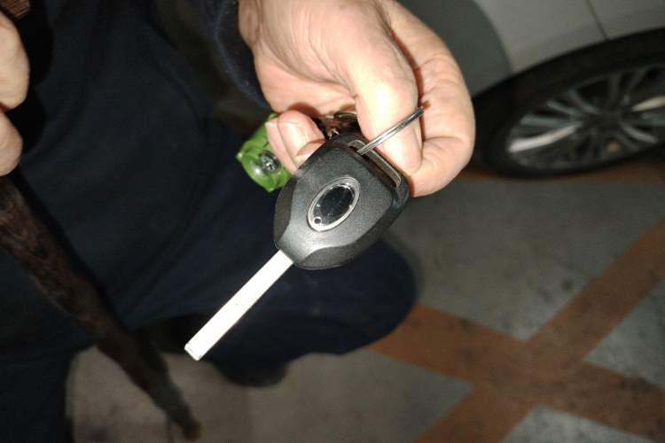 Used ORA Black Cat 2019 351 km Goddess Edition
