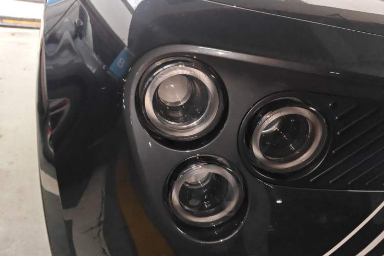 Used firefly 2025 Night Creature Special Edition