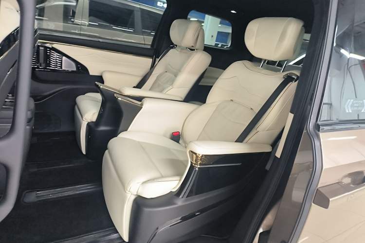 Used GAC Trumpchi E9 2023 E9 MAX Left Rear Seat