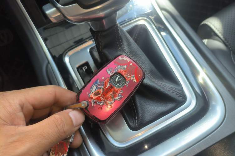 Used CHANGAN Ruicheng CC 2021 Blue Whale Edition 1.5T DCT Luxury Model
