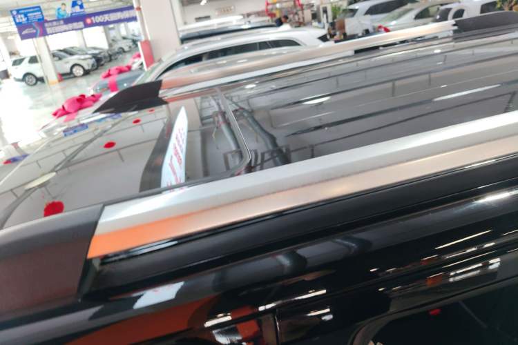 Used Tank 300 2023 City Edition 2.0T—Stylish as Ever Roof