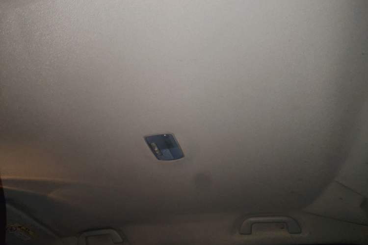 Used Great Wall Wingle 6 2014 2.0T Two-Wheel Drive Navigation Version 4D20B Headliner