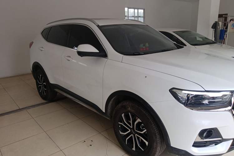 Used Haval H6 2023 National Trend Edition 1.5T Automatic Urban Version
