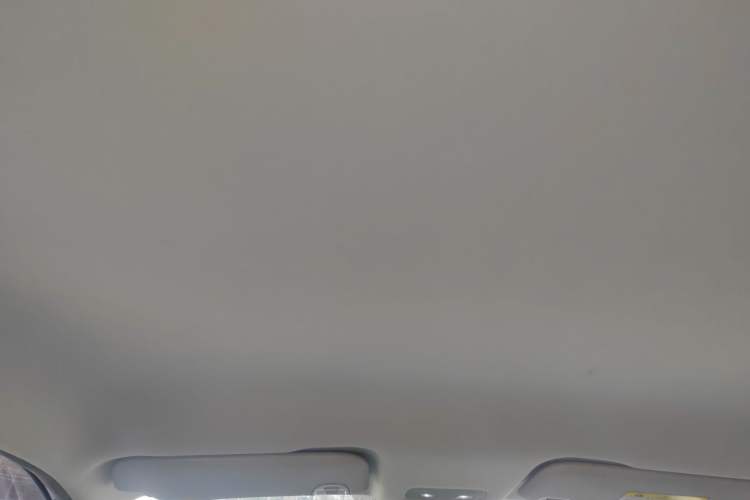 Used NETA V 2021 Long-Range Entertainment Edition Upgrade Model