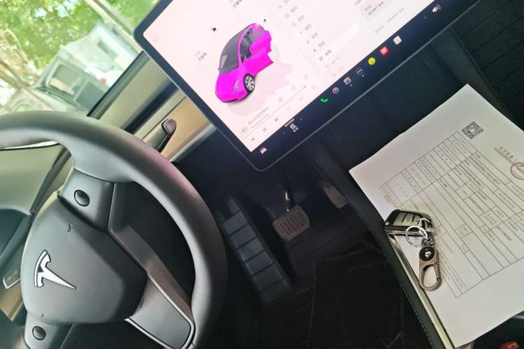 Used Tesla Model Y 2022 Rear-Wheel-Drive Version