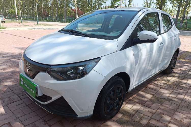 Used JMEV Xiao Qilin 2024 201km Comfort Version