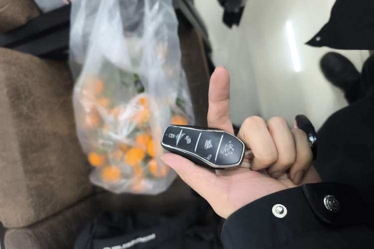 Used BYD Seal 07 DM-i 2025 Intelligent Driving Version DM-i 1.5L 125 km Prestige Edition Interior 1