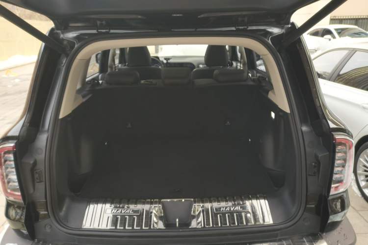 Used Haval DARGO 2021 1.5T DCT Two-Wheel Drive Border Collie Edition