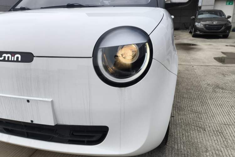 Used Qiyuan Lumin 2023 205km Xiangqin Version