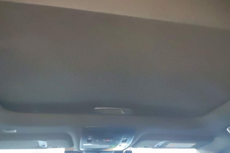 Used Lexus UX New Energy 2020 300e Pure·Joy Edition Headliner