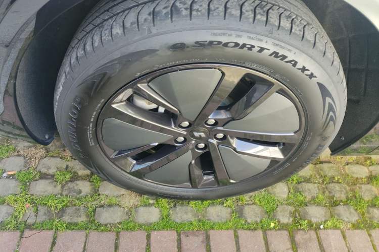 Used Li Auto L6 2024 Pro Model
