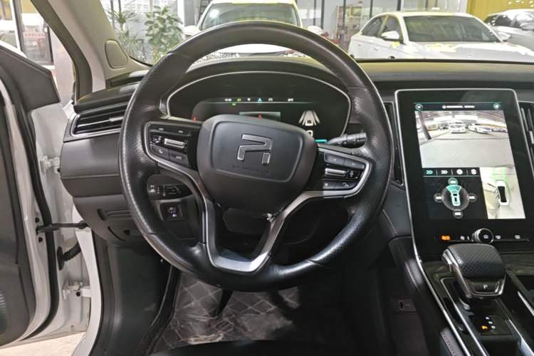 Used Rising ER6 2021 New Dynamic Edition 620km Smart Enjoyment Version
