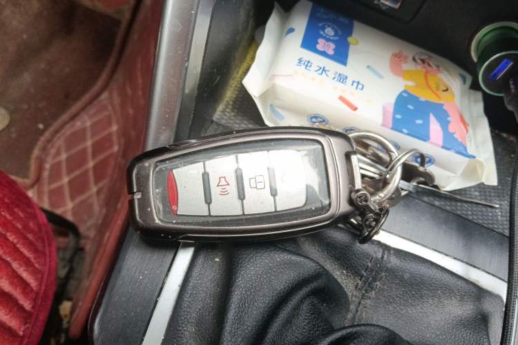 Used Great Wall Poer 2019 2.0T Commercial Version Manual Diesel Two-Wheel Drive Elite Long-Box GW4D20M
