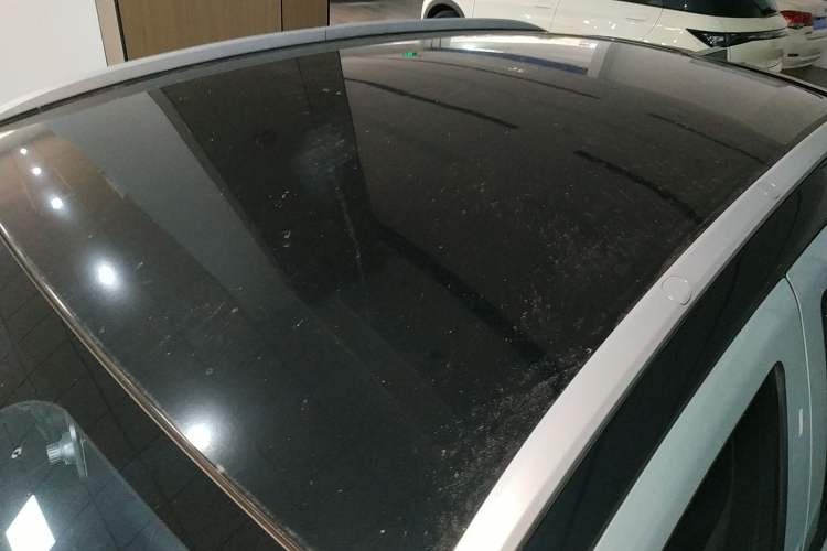 Used Geometry E Firefly 2022 320KM Cute Tiger 4-Seater
