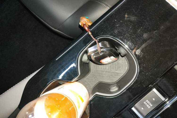 Used Citroen C5 X 2021 1.6T Enjoy the Extraordinary Interior 1