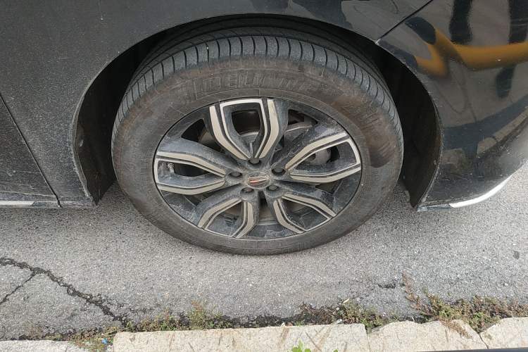 Used Hongqi HQ9 2023 2.0T Smart Connect Flagship Edition