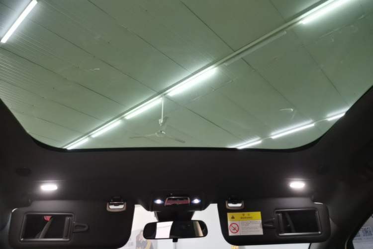 Used BYD Dolphin 2023 420 km Fashion Edition Headliner