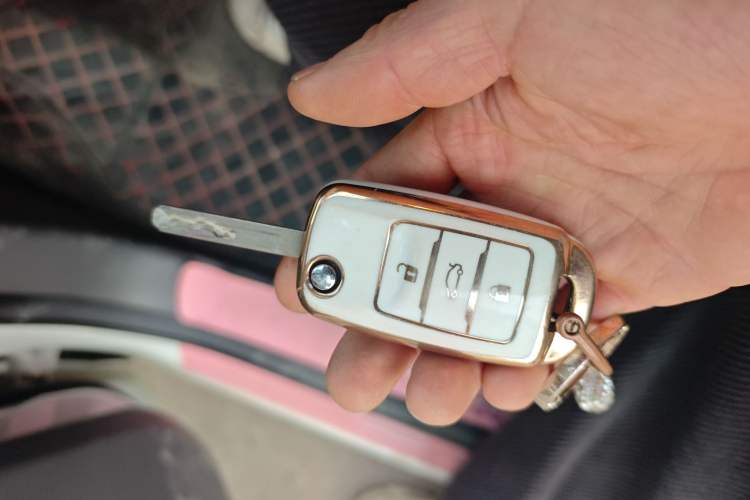 Used Qiyuan Lumin 2025 205 km Xiangqin Version