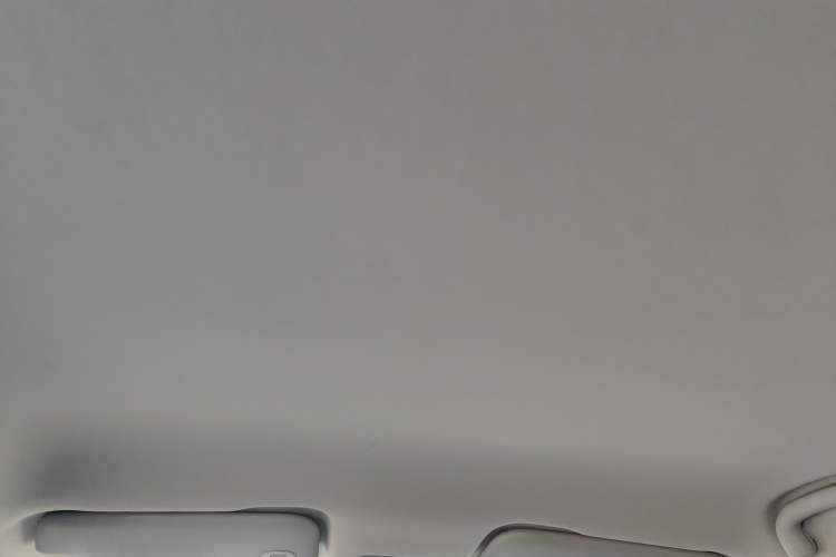 Used NETA V 2021 Long-Range Entertainment Edition Upgrade Model