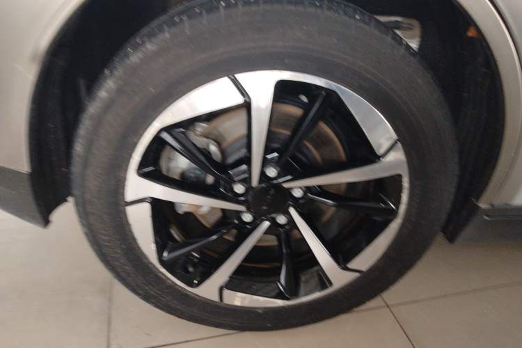 Used AION Y 2024 Plus 510 Intelligent Driving Version Exterior 5