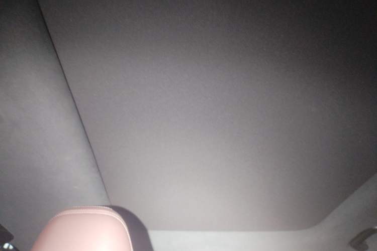 Used Geely Auto Monjaro L 2024 2.0TD High-Power Automatic Two-Wheel Drive Yunqi Version Headliner