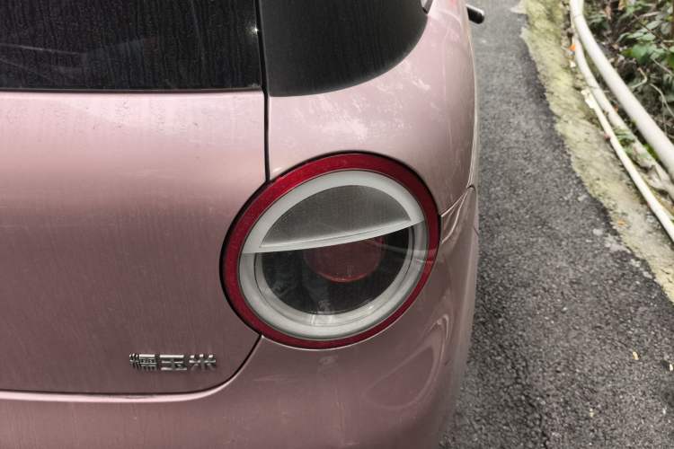 Used Qiyuan Lumin 2023 301km Honey Dew Edition
