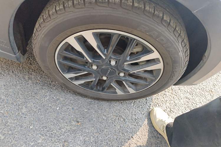 Used Chery Little Ant 2022 Sweet Pink Edition Full-Sugar Version Lithium Iron Phosphate 30 kW 301 km