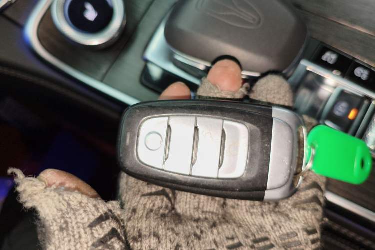 Used Hongqi H9 2020 2.0T Smart Connect Flagship Edition
