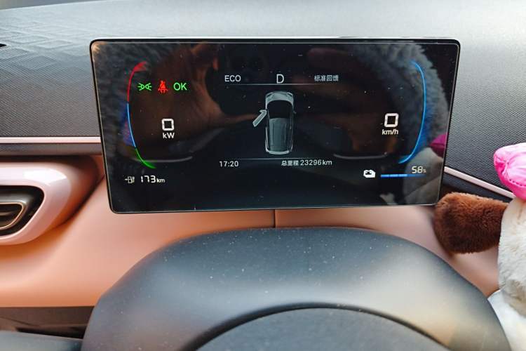 Used BYD Seagull 2025 305 km Free Version