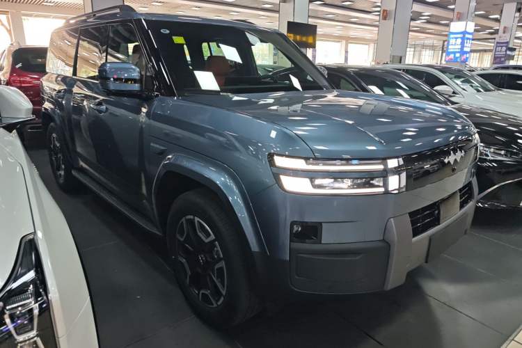 Used Formula Leopard Tai 7 2025 Model 200 km Two-Wheel Drive Max Edition