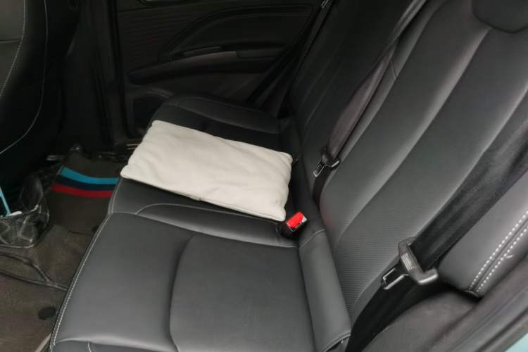 Used NETA V 2021 Long-Range Entertainment Edition Upgrade Model
