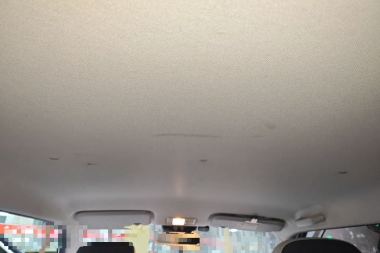 Used Qiyuan Lumin 2023 301km Honey Dew Edition