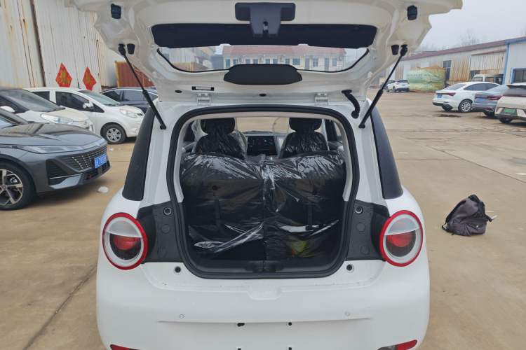 Used Qiyuan Lumin 2026 Model Treasure Edition 205km Beloved Beige Guoxuan
