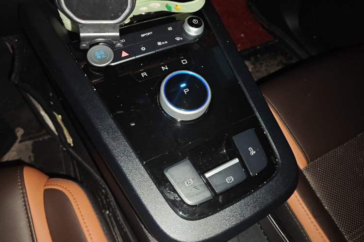 Used BYD e2 2021 Luxury Model Gear Lever