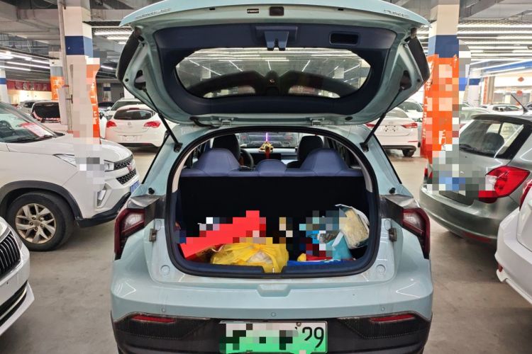 Used Geometry E Firefly 2022 401 km Linglong Tiger 5 Seats