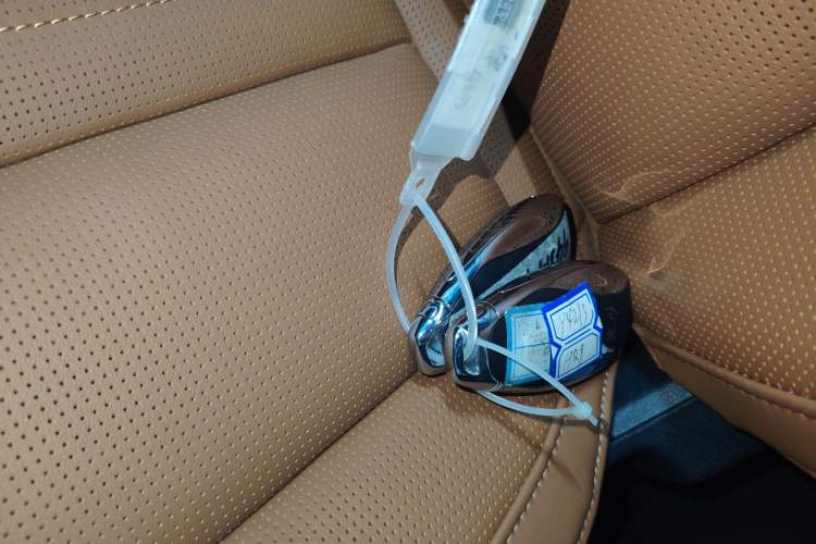 Used Hongqi HQ9 PHEV 2024 2.0T Four-Wheel Drive Luxury Edition
