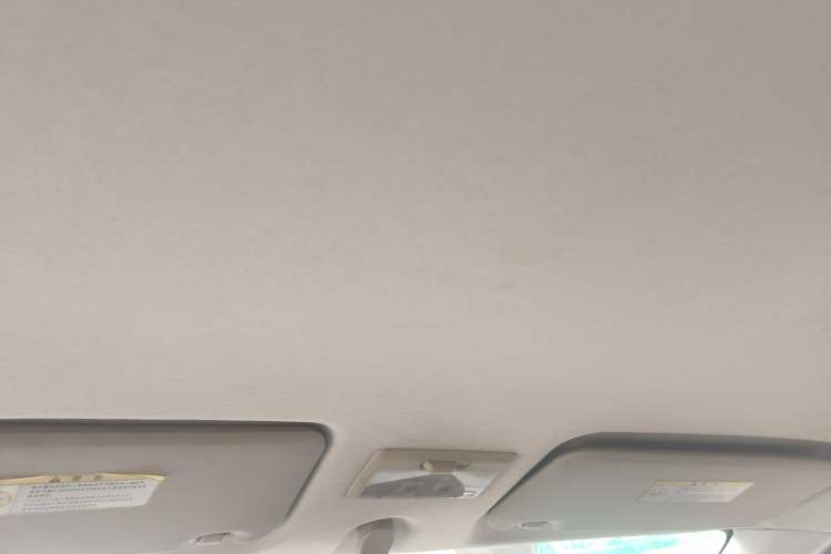 Used Suzuki Swift 2013 1.5L Automatic 20th Anniversary Limited Edition Headliner