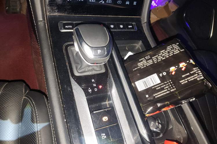 Used Hongqi H5 2024 2.0T Automatic Smart Connect Flagship Edition