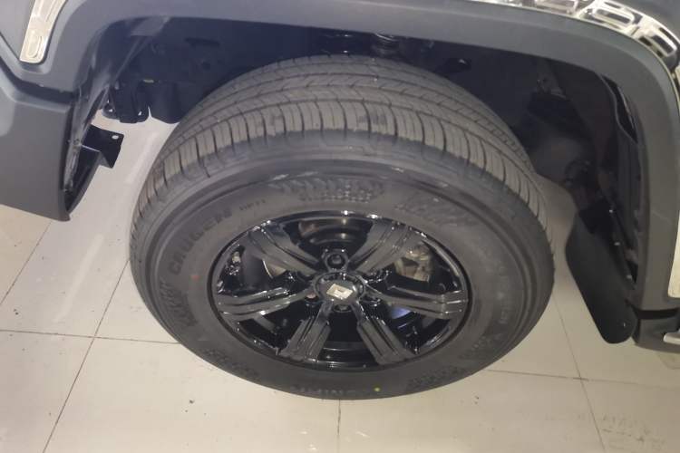 Used Tank 300 2024 2.0T Conqueror
