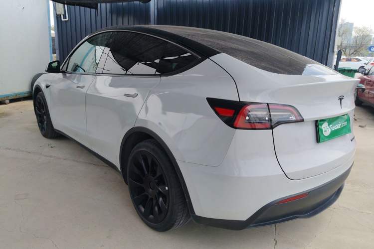 Used Tesla Model Y 2021 Standard Range Rear-Wheel Drive Version Rear Left 45 Deg