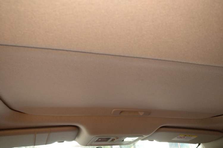 Used Nissan Lannia 2021 1.6L CVT Cool Edition Headliner