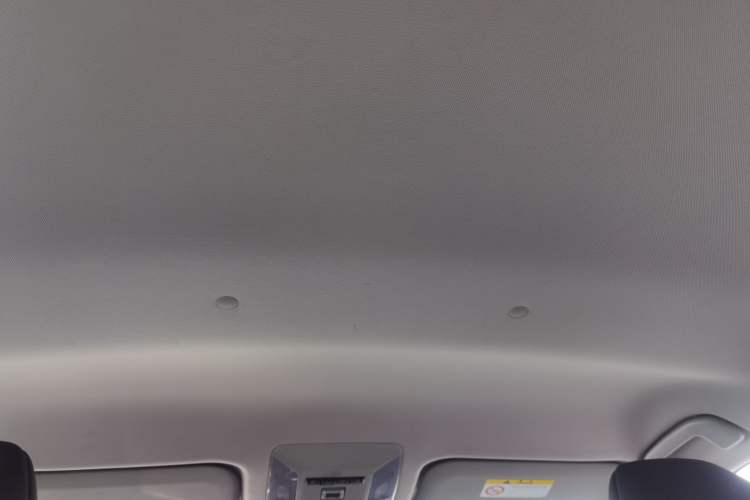 Used Toyota Wildlander 2022 Facelifted Dual-Motor 2.5L E-CVT Two-Wheel Drive Leading Edition
