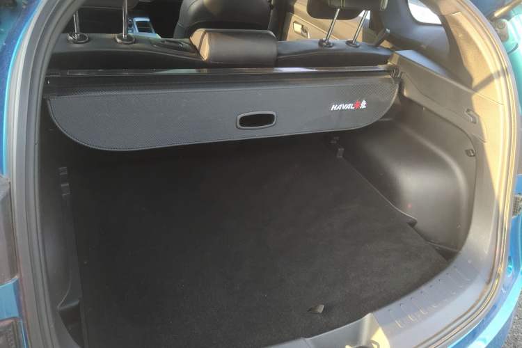 Used Haval LHERY 2021 High-Performance Version 1.5T Golden Rabbit