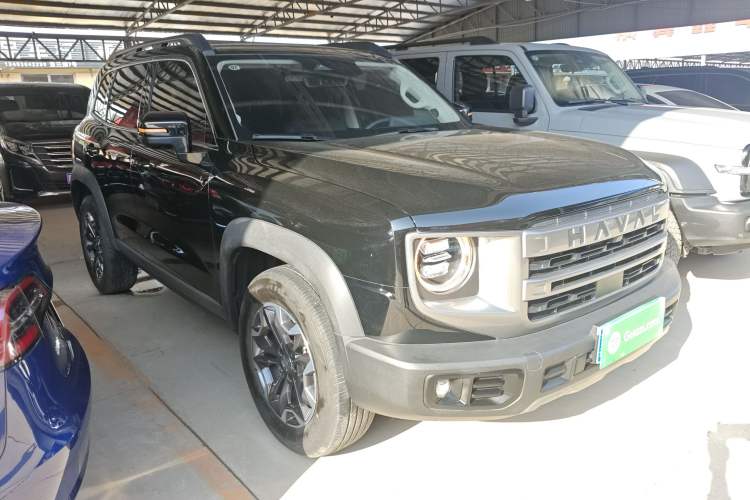 Used Haval DARGO 2024 2.0T DCT Chinese Rural Dog Edition
