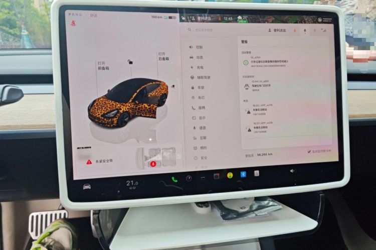 Used Tesla Model 3 2022 Rear-Wheel-Drive Version
