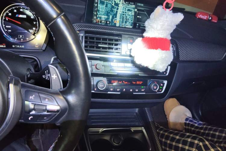 Used BMW M2 2018 M2 Thunder Edition
