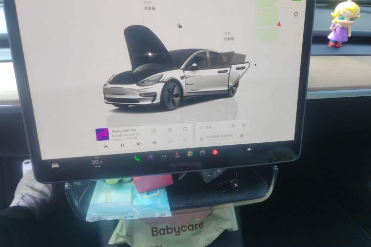 Used Tesla Model 3 2022 Rear-Wheel-Drive Version