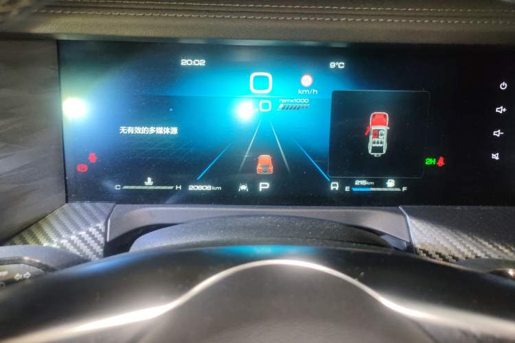 Used Tank 300 2021 2.0T Monet Tribute Limited Edition